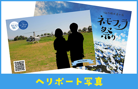 フォトサービス