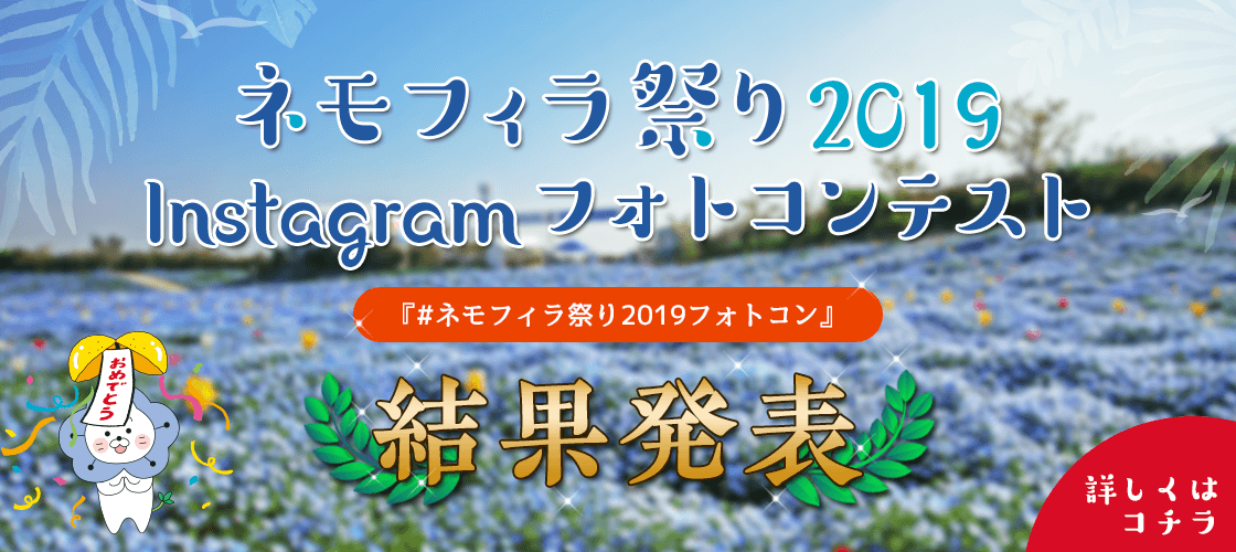 ネモフィラ祭り Instagramフォトコンテスト応募要項 ネモフィラ祭り 100万株の青い花 大阪まいしまシーサイドパーク