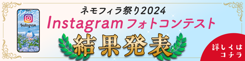 ネモフィラ祭り2024 Instagramフォトコンテスト結果発表