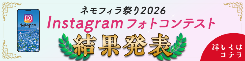 ネモフィラ祭り2026 Instagramフォトコンテスト結果発表