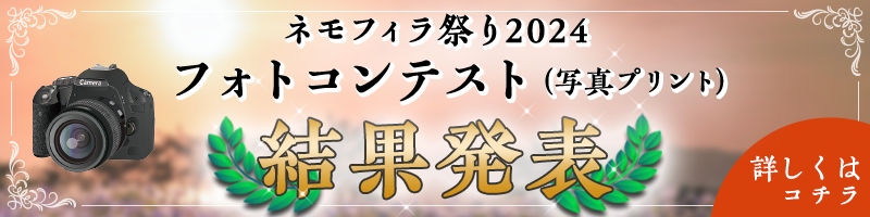 ネモフィラ祭り2024 写真プリントフォトコンテスト結果発表