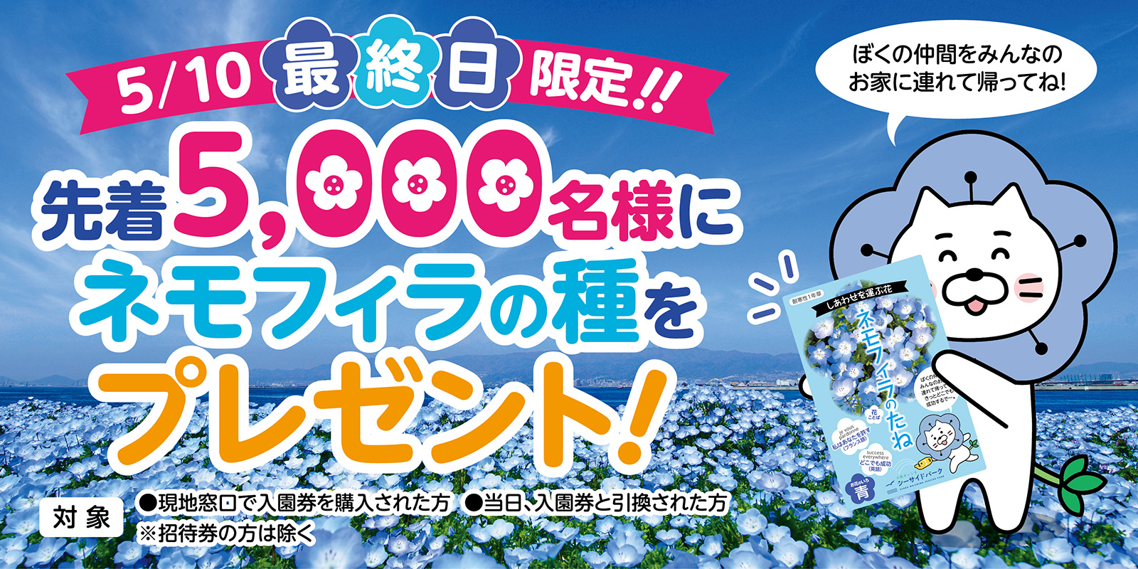 5/10最終日限定！先着5000名様にネモフィラの種をプレゼント！
